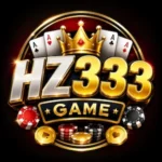 HZ333 Game