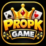 PROPK Game