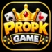 PROPK Game